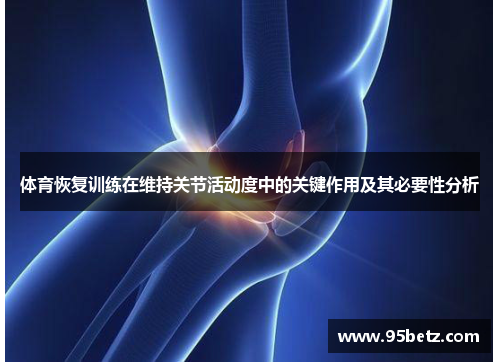 体育恢复训练在维持关节活动度中的关键作用及其必要性分析 体育恢复训练在维持关节活动度中的关键作用及其必要性分析